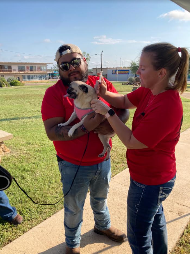 about our veterinary practice Dilley, Texas